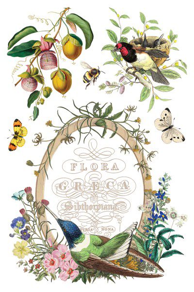 IOD dekorációs transzfer - Flora greca - Image 3