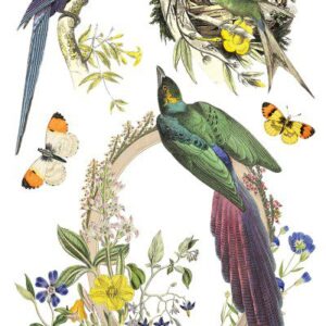 IOD dekorációs transzfer - Flora greca - Thumbnail Image 4