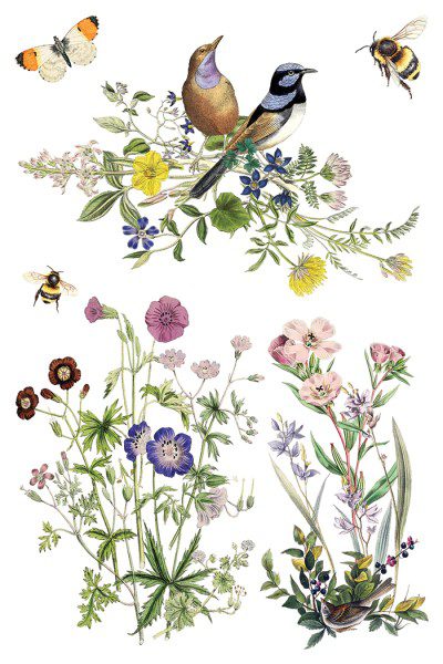 IOD dekorációs transzfer - Flora greca - Image 8